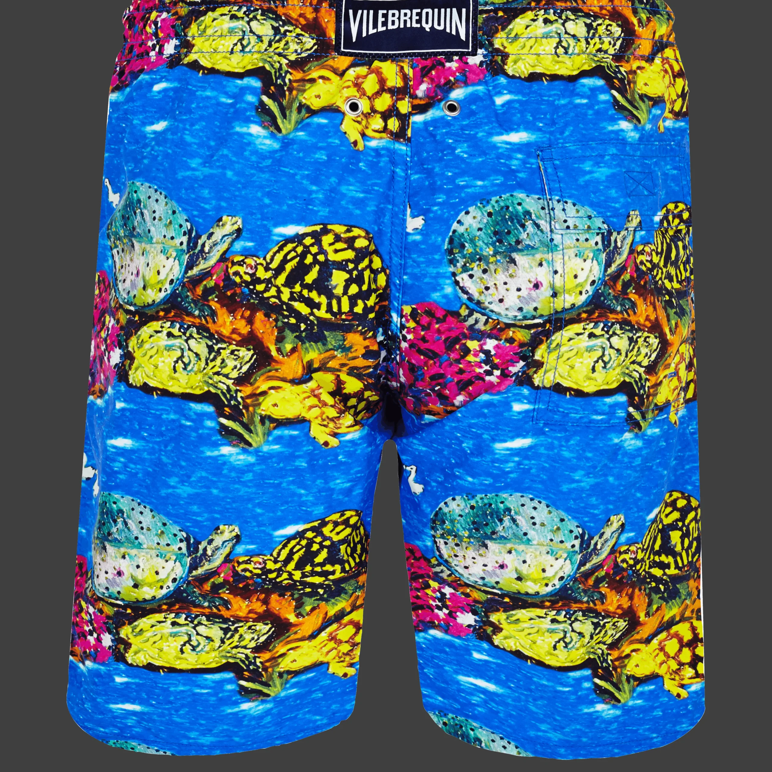 Vilebrequin Men Swim Trunks Long X Hunt Slonem*Men The Long